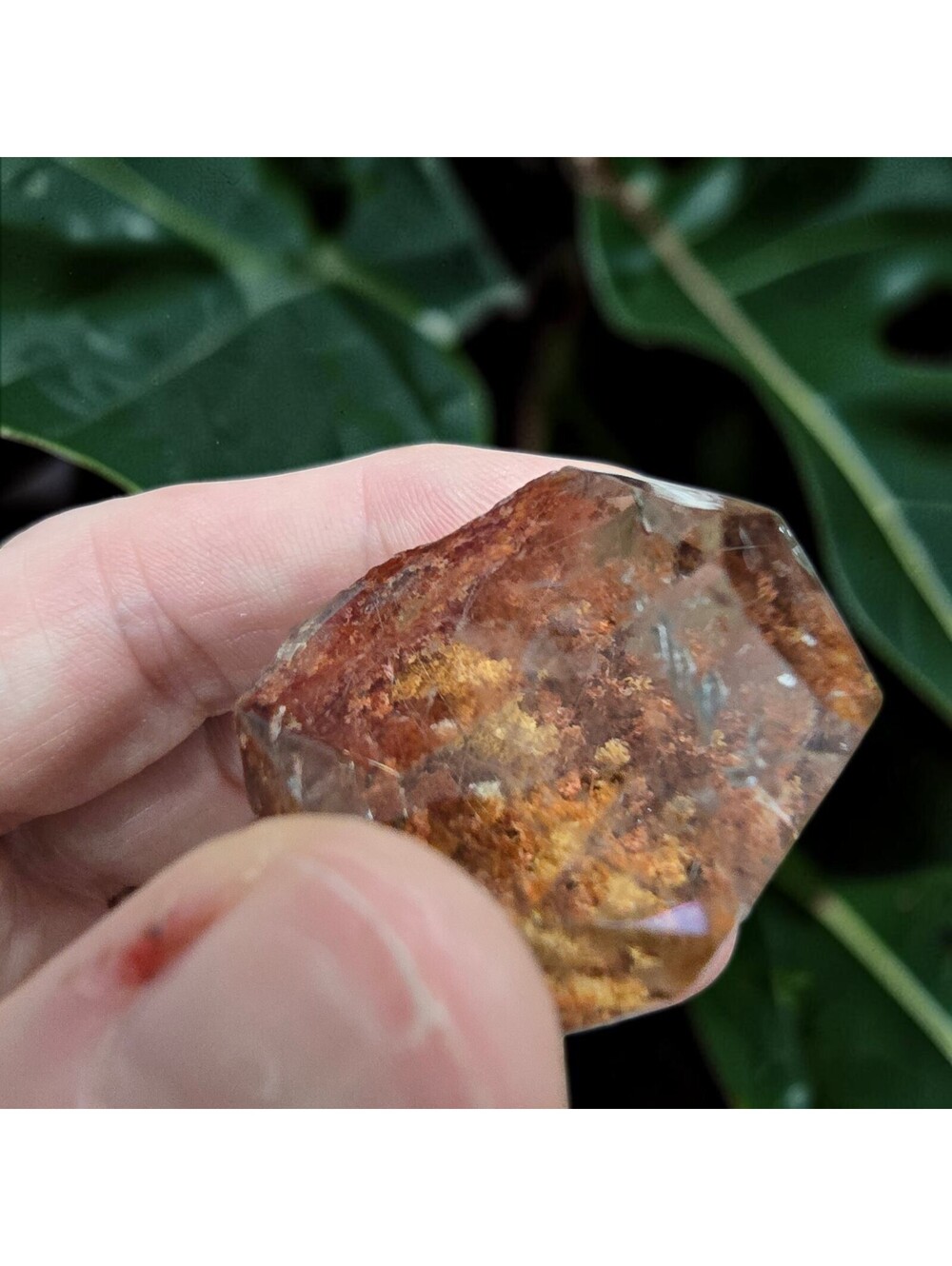 A124. Garden Quartz (Lodolite) Natural Crystal Freeform - Super Clear